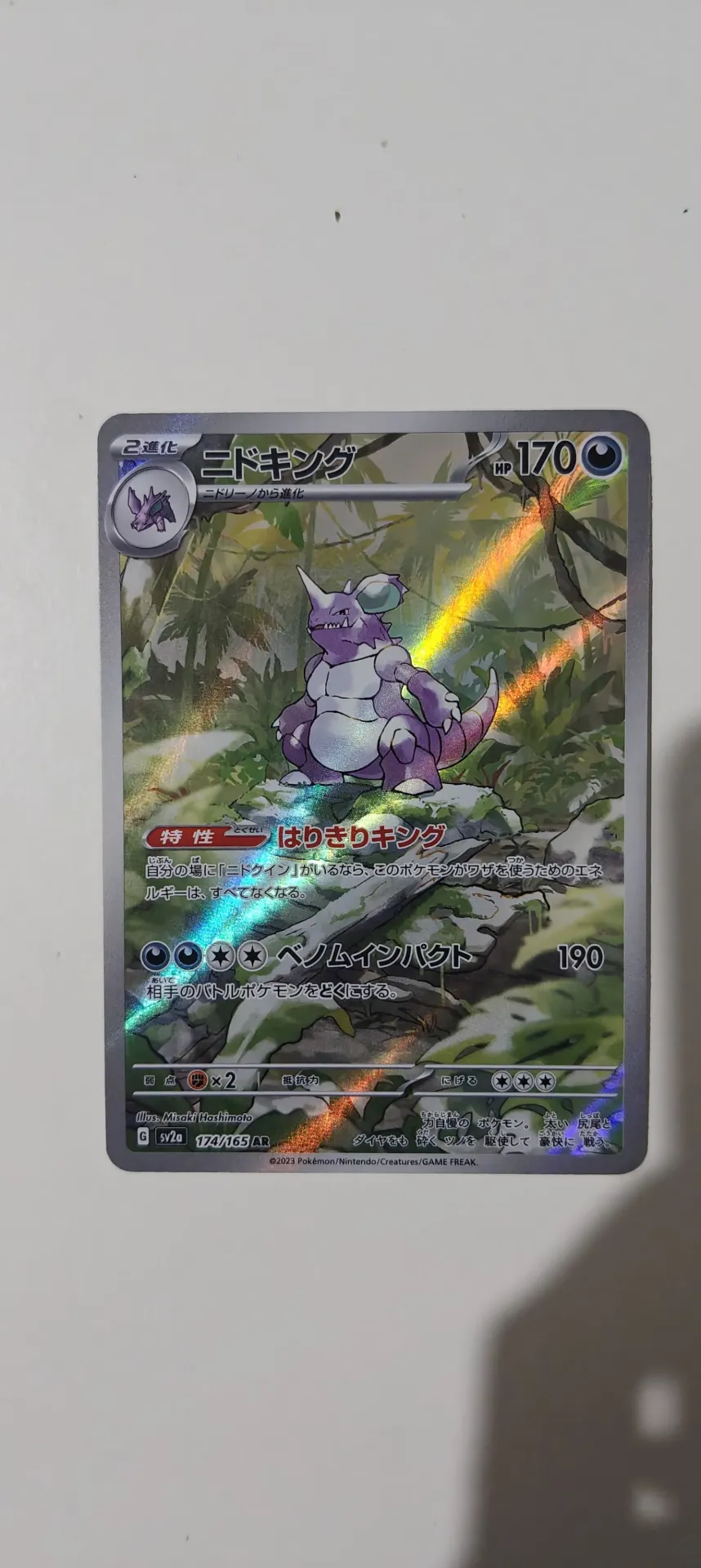 Nidoking AR