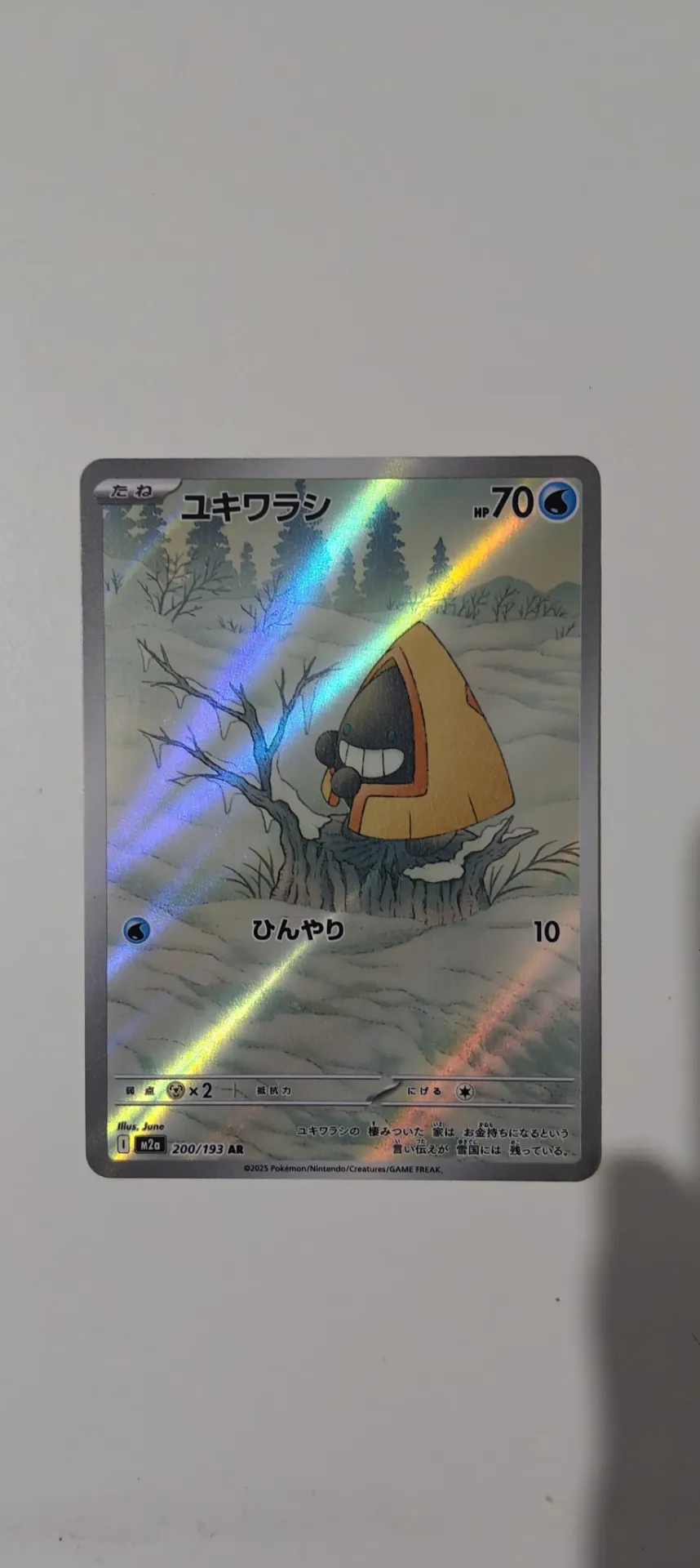 Snorunt AR