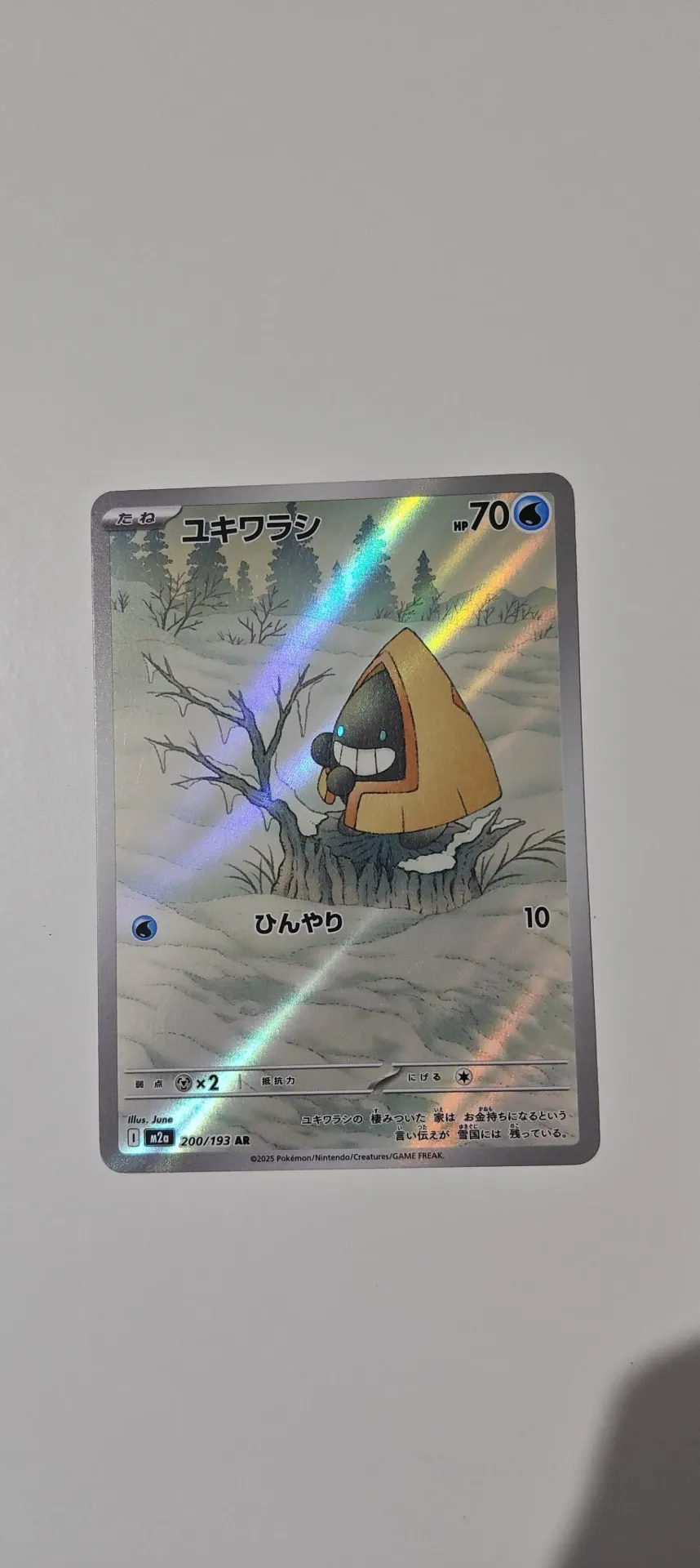 Snorunt AR