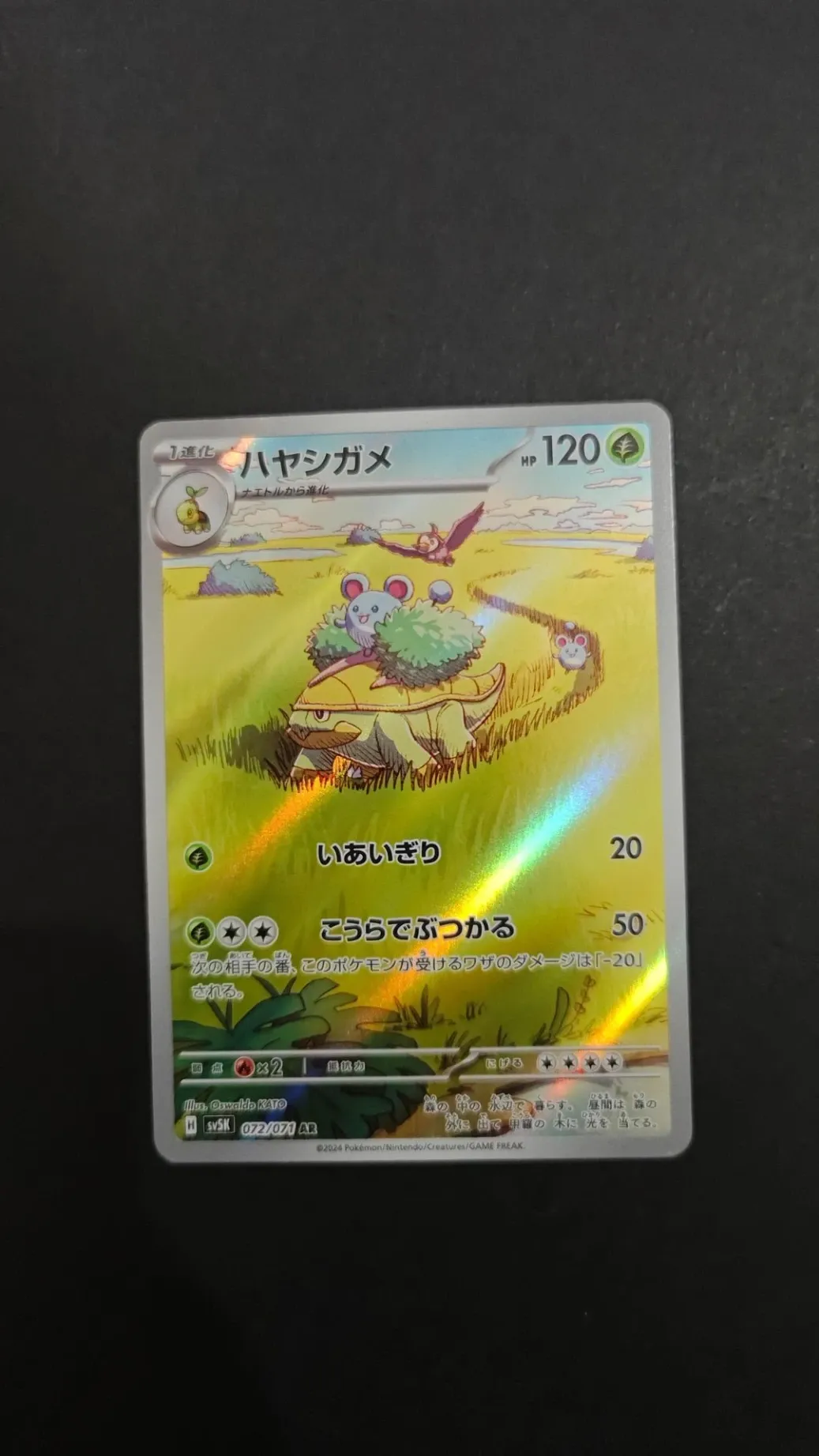 Grotle AR