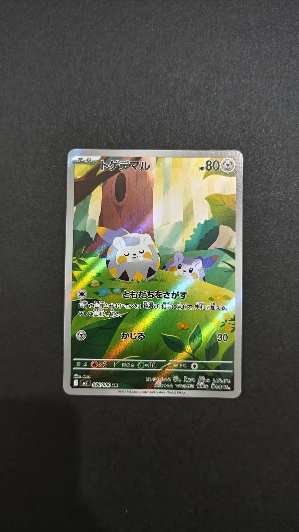 Togedemaru AR