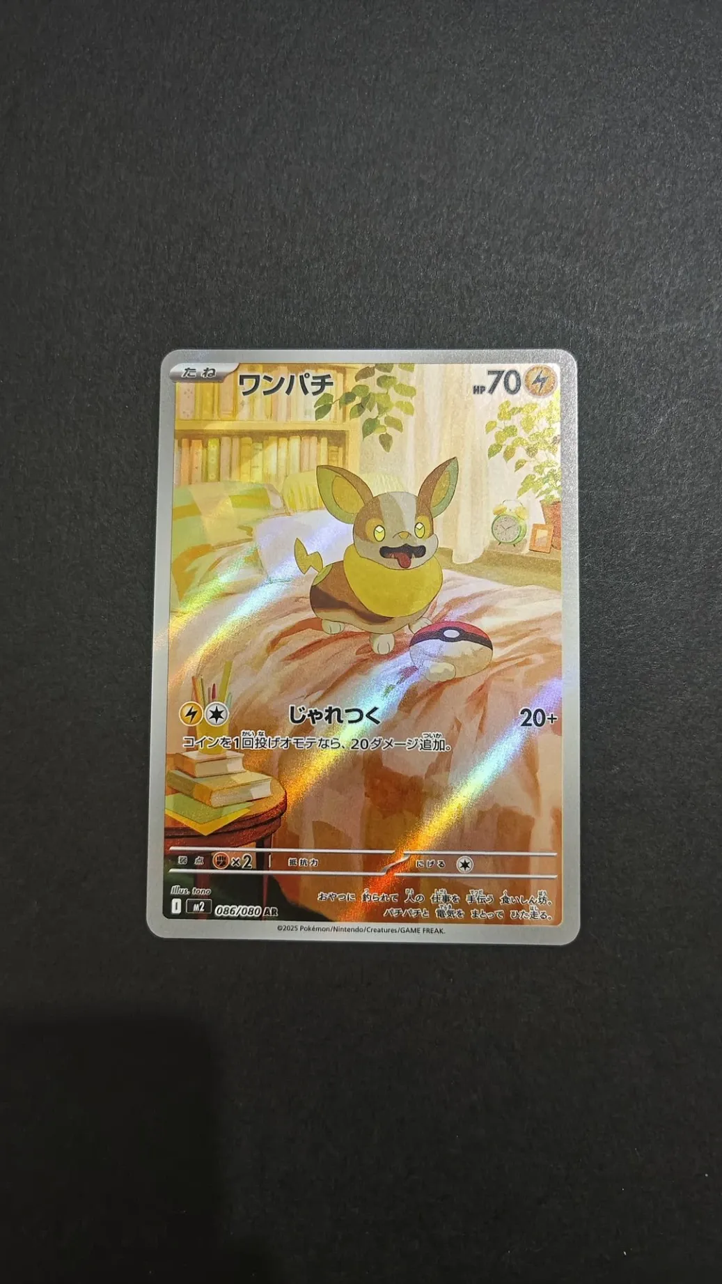 Yamper AR