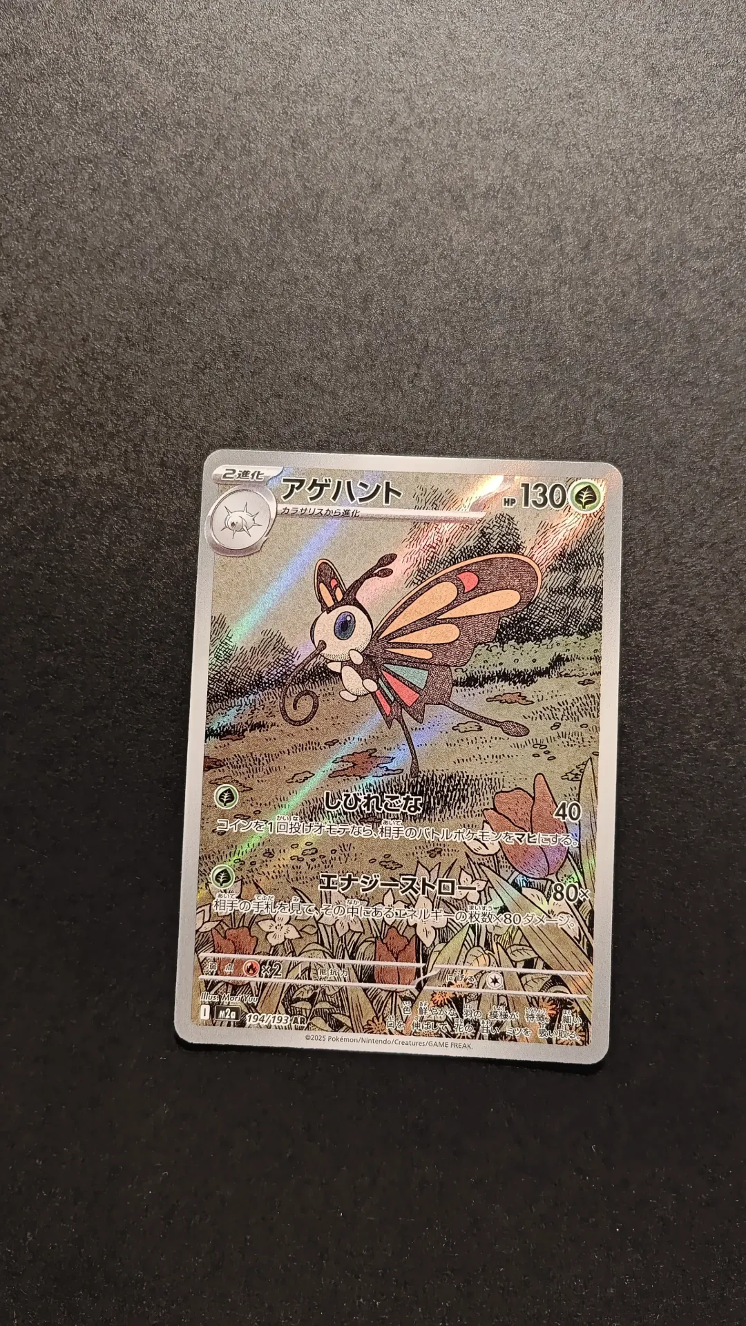 Beautifly AR